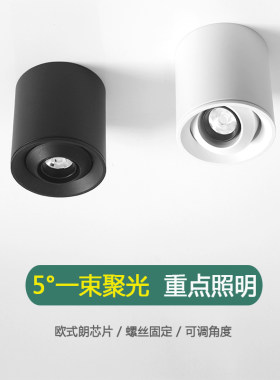明装一束聚光射灯5度8度酒吧茶桌餐桌氛围灯重点照明吸顶式3W5W
