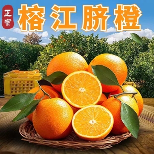 贵州特产榕江脐橙10斤现摘现发手剥新鲜橙子超薄皮多汁水果纯甜