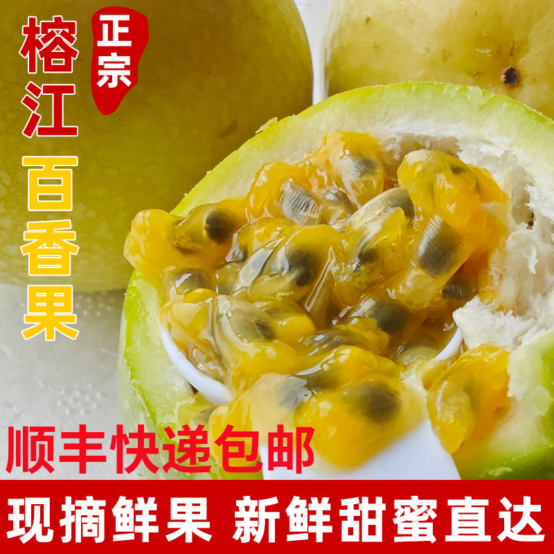 【顺丰包邮】贵州榕江村超正宗百香果新鲜水果高山钦密9号黄金大