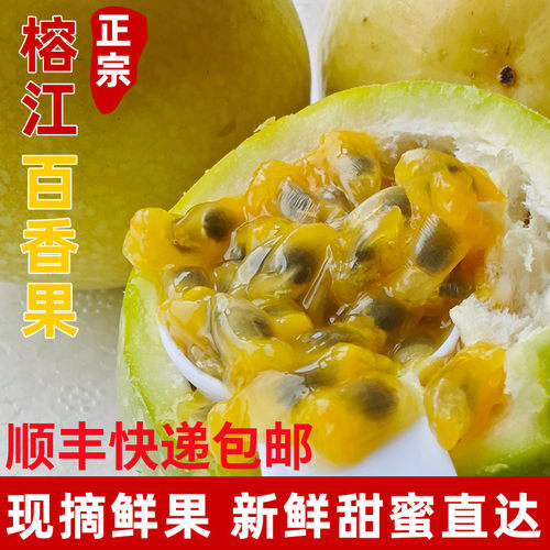 【顺丰包邮】贵州榕江村超正宗百香果新鲜水果高山钦密9号黄金大