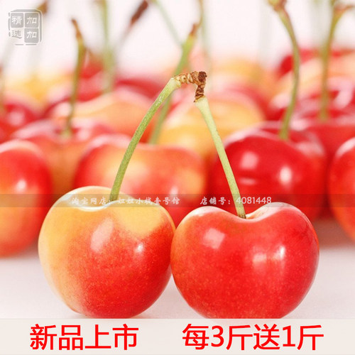 新鲜车厘子樱桃原生态自然熟