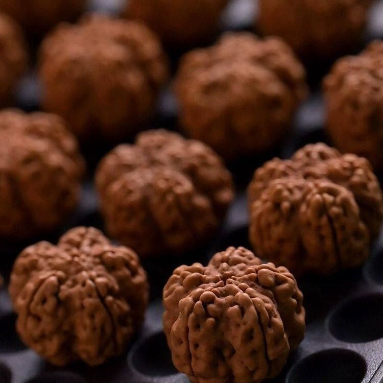 五星帝王花精品龙爪梅花桩大金刚菩提子圈马年手串