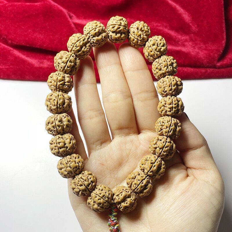 帝王花单圈大规格18mm梅花双龙小金刚单圈手串五瓣爆肉双龙纹