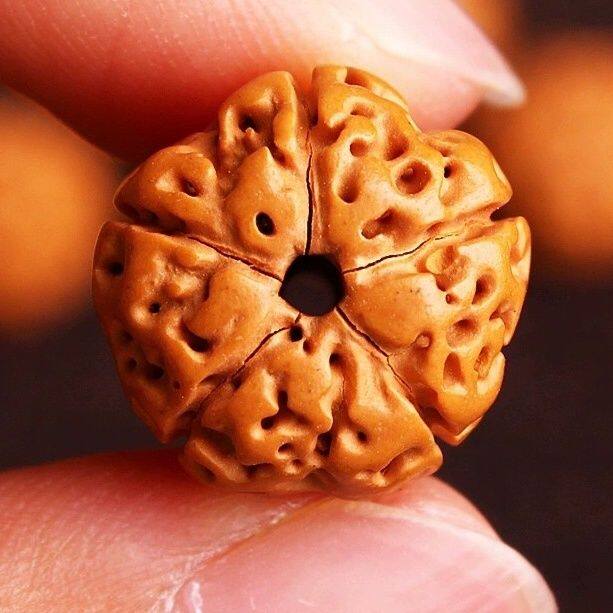 小金刚菩提子108颗精品梅花桩文玩佛珠多圈长串加6珠珠花王菩提籽