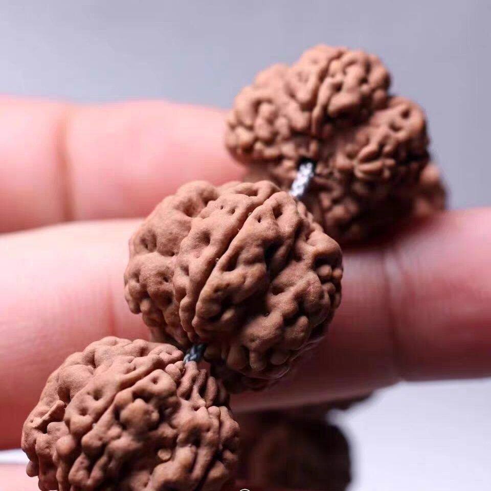 【精挑纯原正孔】帝王花单圈粗肉粗龙脊小金刚菩提子手串佛珠原籽