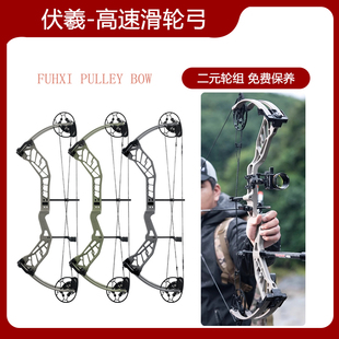 复合弓伏羲滑轮弓箭新款雷瓦侬高速专业竞技射箭器材户外箭馆娱乐