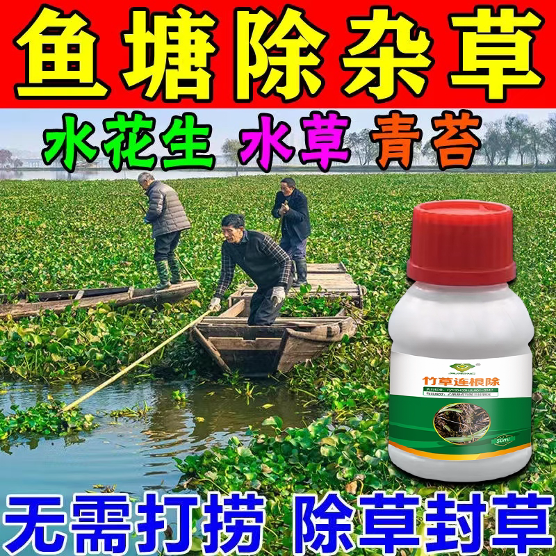 鱼塘除草专用杀水花生克星烂根剂除草济除水草青苔除草烂根专用药