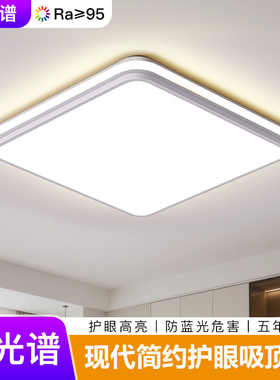 2026年新款客厅吸顶灯时尚大气LED吸顶灯家用卧室书房灯中山灯具