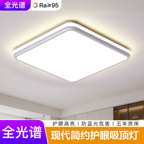 2026年新款客厅吸顶灯时尚大气LED吸顶灯家用卧室书房灯中山灯具