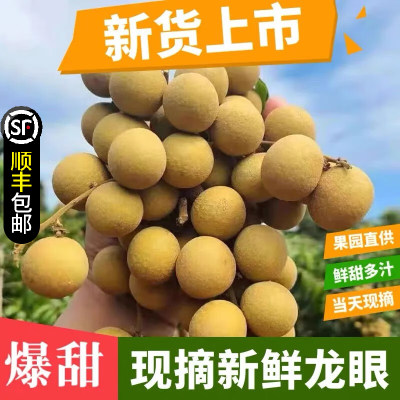 龙眼新鲜泰国进口鲜桂圆现摘现发