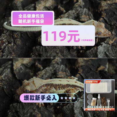 莉莉白新手友视频挑选