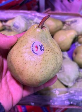 都乐智利进口大头梨10粒