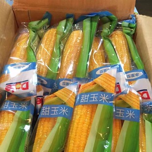 都乐水果甜玉米都乐玉米dole水果玉米苞米非转基因开袋即食8根
