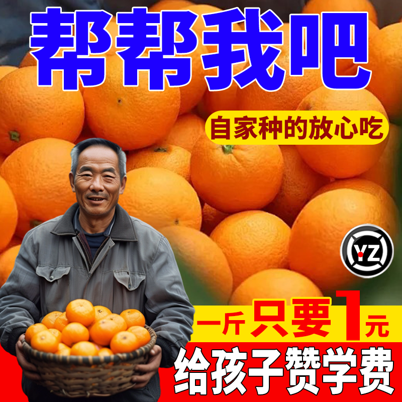 正宗纽荷尔脐橙新鲜农家自然熟橙子孕妇现摘当季水果无籽破损包赔