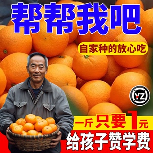 正宗纽荷尔脐橙新鲜农家自然熟橙子孕妇现摘当季水果无籽破损包赔