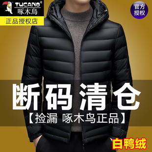 保暖棉袄连帽短款 新款 爸爸白鸭绒外套 羽绒服男秋冬季 啄木鸟轻薄款