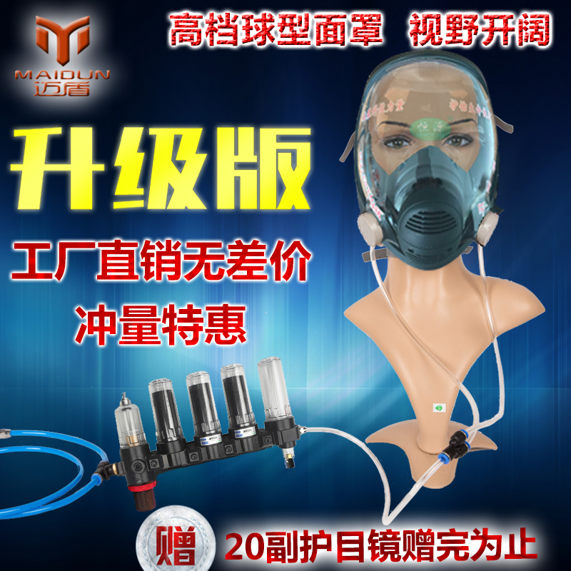 迈盾输气供气式防毒面具送风防护口罩喷漆专用喷砂防尘全面罩气泵
