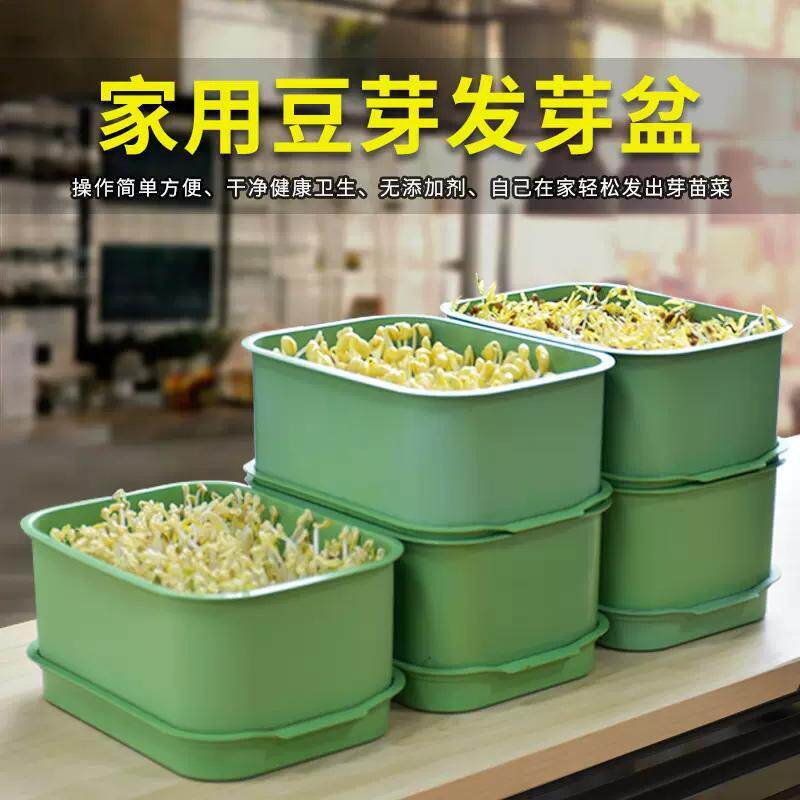 新款豆芽神器快速家用种植绿豆芽豆芽菜发芽黄豆芽种菜专用发豆芽 - 实物图
