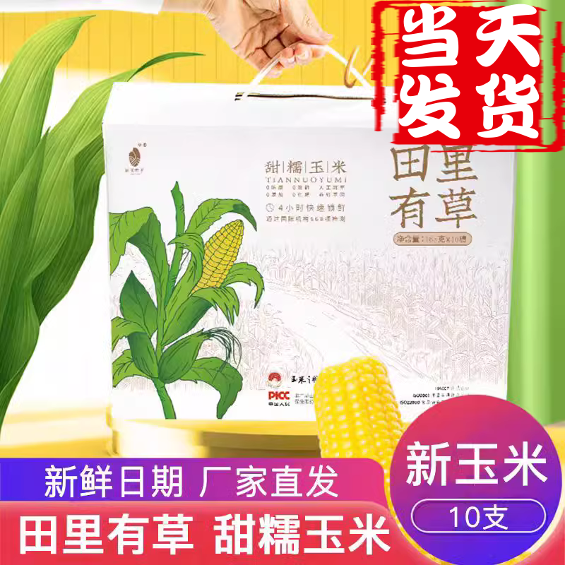 田里有草玉米甜糯玉米早安大苞米玉米新鲜糯玉米粗粮黑玉米非即食