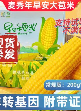麦秀年早安大苞米10支*200g糯玉米新鲜黄甜糯玉米非转基因黏玉米
