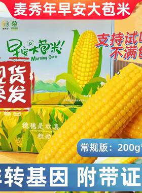早安大苞米，产地直发