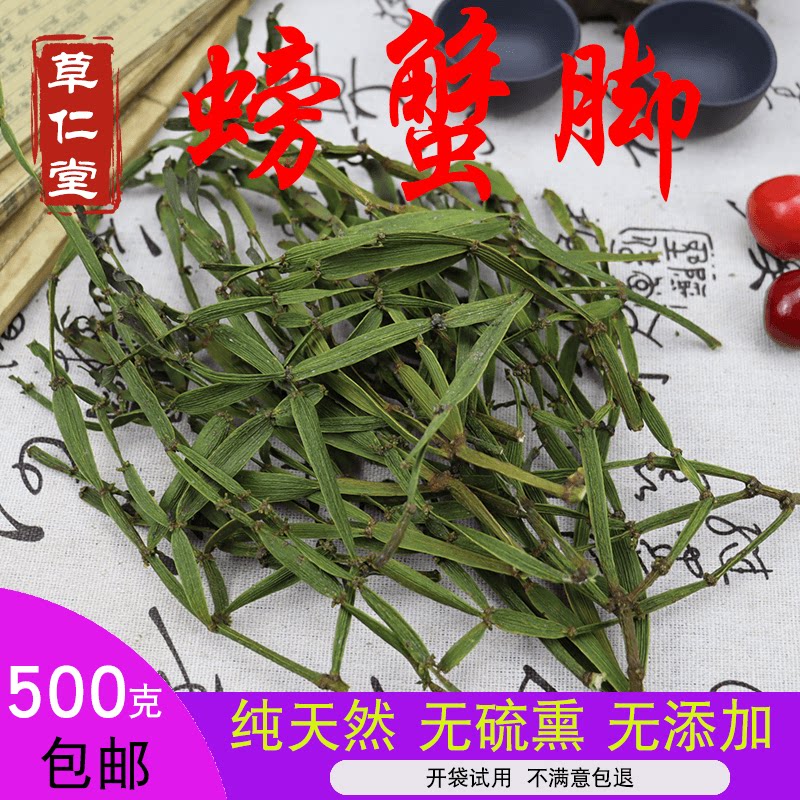 正宗野生蟹脚寄生新鲜螃蟹脚茶古树寄生螃蟹脚野生中药材