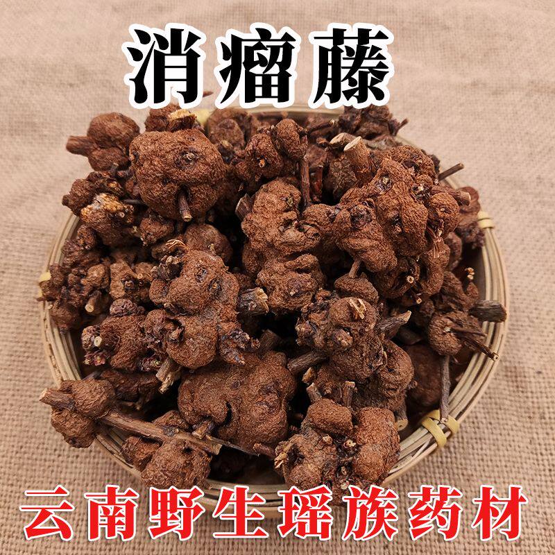消瘤藤云南野生瑶族药材消瘤子 