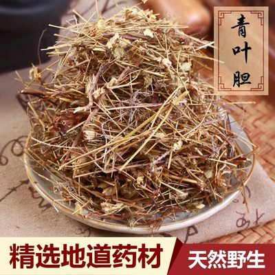 云南野生中药材青叶胆 走胆药500g包邮