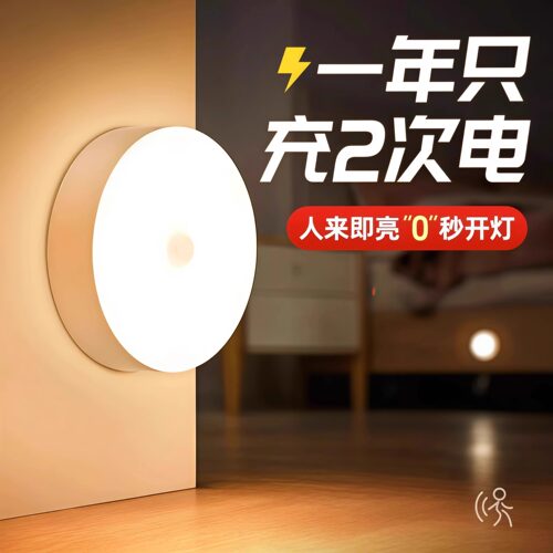 人体感应灯夜间自动亮灯家用走廊过道厕所智能声控充电小夜灯床头