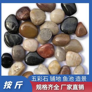 天然雨花石鹅卵石小石头石子原石鱼缸花盆庭院造景五彩石大鹅软石