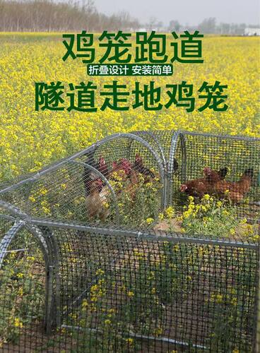 走地鸡笼隧道兔笼养鸡笼子庭院户外跑道农场农家溜达鸡舍养殖散养