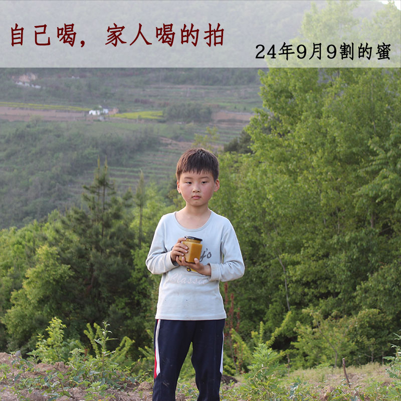 50克包邮试吃蜂蜜纯正天然农产品秦岭百花蜜天然蜂蜜500g土蜂蜜茶