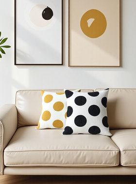 默色空间新品雪尼尔大圆点双面抱枕新中式客厅揽枕套网红沙发靠垫