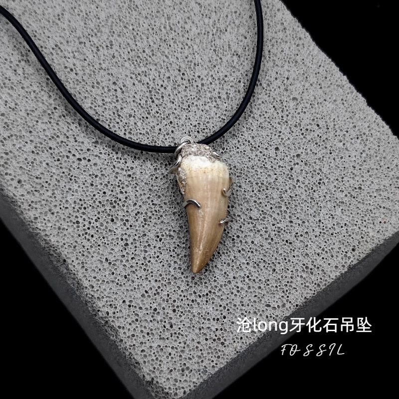 牙齿化石吊坠天然沧long原石标本
