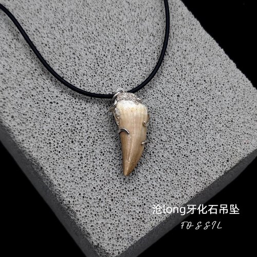 牙齿化石吊坠天然沧long原石标本