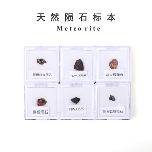 天然火流星球粒石陨石橄榄陨石镍铁陨石原石天铁地质科普教学标本