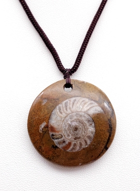 菊石化石直角石吊坠天然饰品原石