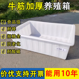 大号加厚牛筋水箱长方形大容量养鱼箱养龟箱水产养殖箱周转塑料箱
