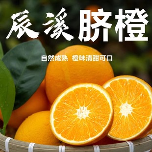 辰溪特产脐橙产地新鲜现摘净重4.5斤