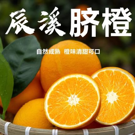 辰溪特产脐橙产地新鲜现摘净重4.5斤
