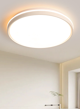 led已接入米家APP2025款智能客厅灯具现代简约卧室吸顶灯170420