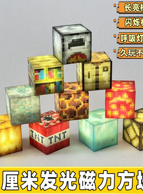 我的世界周边磁铁玩具拼装发光磁力方块积木儿童益智2025新品礼物