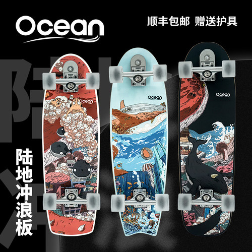 陆地冲浪板Ocean专业陆冲