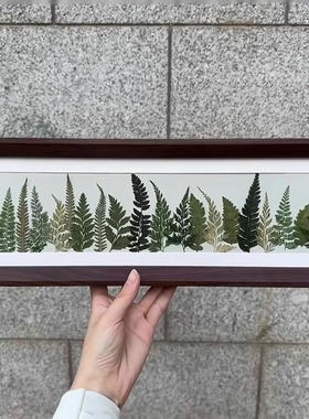 蕨类植物相框标本长方形压花相框黑胡木纹纪念日礼物送礼摆件挂饰