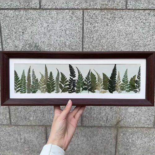 蕨类植物相框标本长方形压花相框