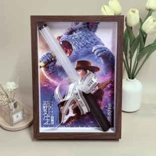 萧敬腾野生演唱会应援棒收纳相框展示装饰摆台DIY透明框创意定制