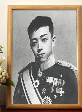 宇将军肖像画都多余了爱谁谁搞笑挂画开国功臣名人装饰画相框摆台