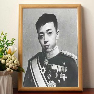 宇将军肖像画都多余了爱谁谁搞笑挂画开国功臣名人装 饰画相框摆台