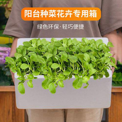 楼顶种菜专用泡沫箱超大