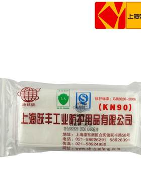 地球3100-1/3200-1白色KN90长方形粉尘颗粒物防尘过滤棉滤芯片